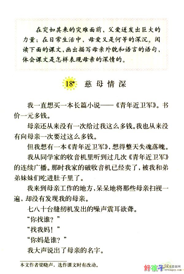 慈母情深的课文是什么 说一下内容