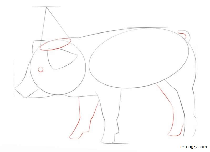 猪宝宝简笔画画法(分步),猪宝宝简笔画图片