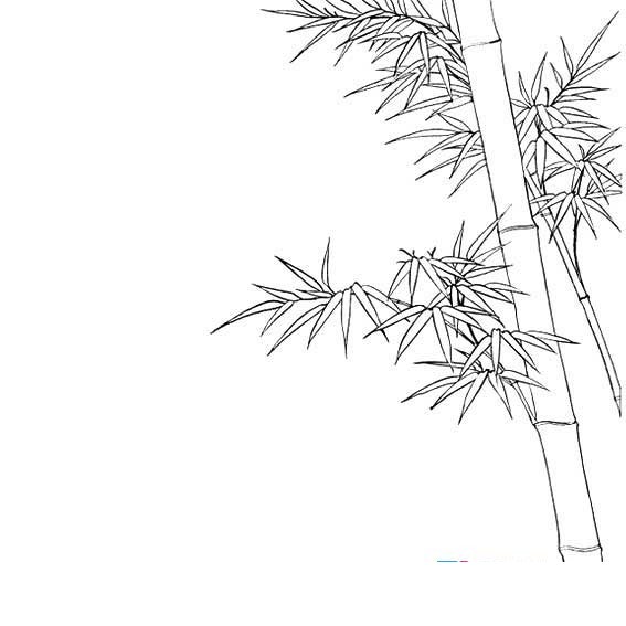 竹子的简笔画大全法,竹子的画法