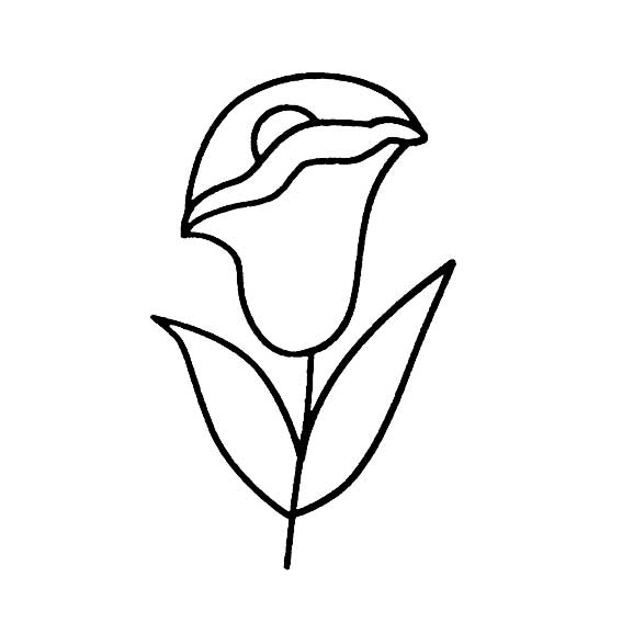 郁金香花朵的简易画法5