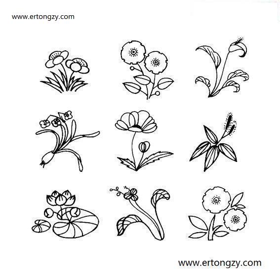 几种常见花卉的简单画法_启蒙画_植物简笔画