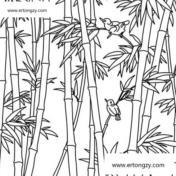 学习资源 儿童绘画 儿童简笔画大全 植物简笔画 关于竹子的画法简笔画