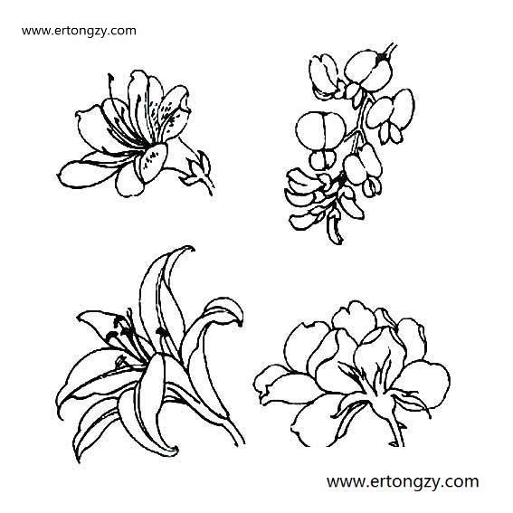 康乃馨花简笔画高清,康乃馨花画法