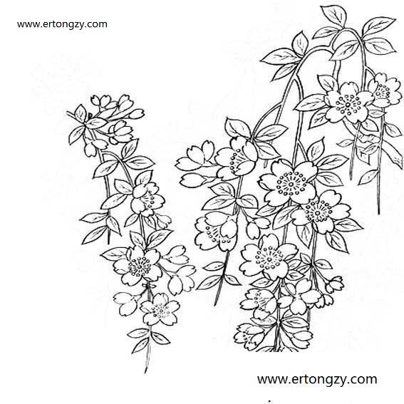 有关迎春花的简笔画简单漂亮,有关迎春花的画法