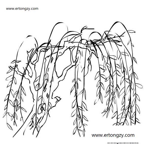 柳树简笔画最新图片,柳树画法