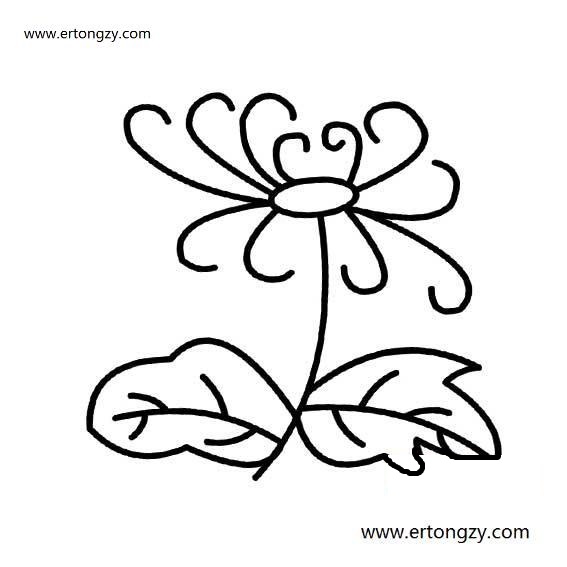 简单的菊花简笔画简单漂亮,简单的菊花画法