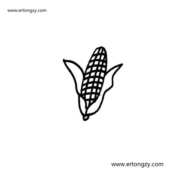 玉米简笔画高清粮食类,玉米画法