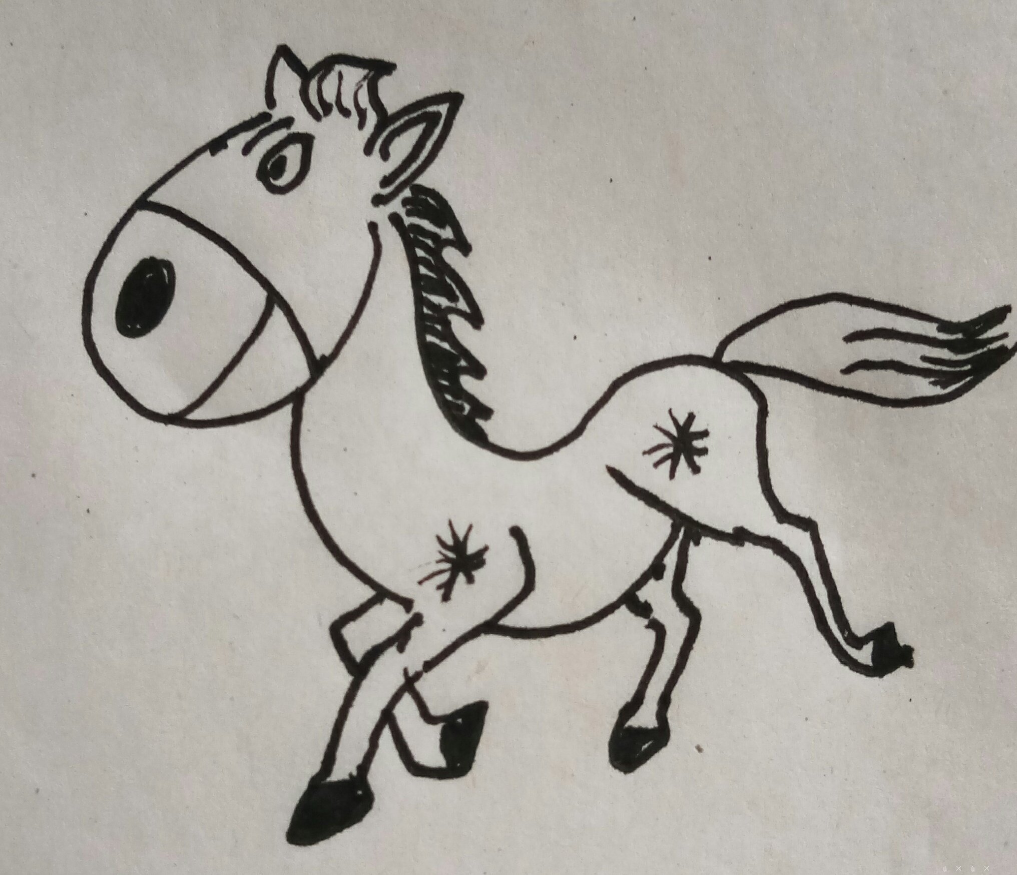 马儿童简笔画图片大全-调皮的马驹