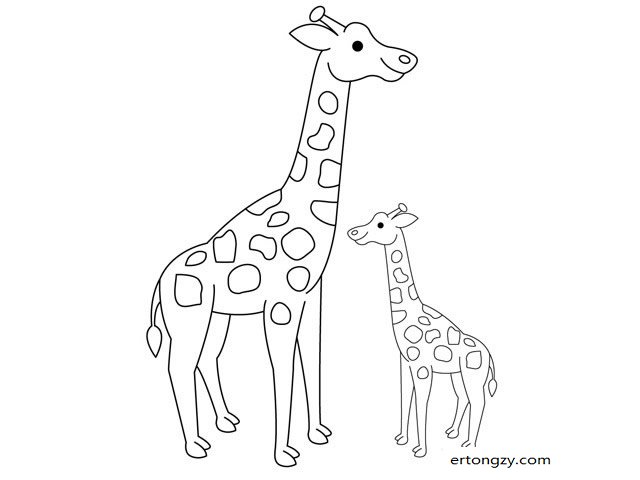 长颈鹿的简单画法步骤图解