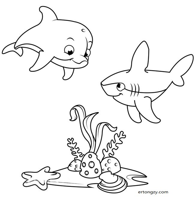 海底世界简笔画之可爱的海豚和鲨鱼_动物简笔画