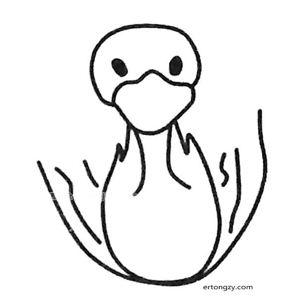 可爱的小天鹅简笔画图片