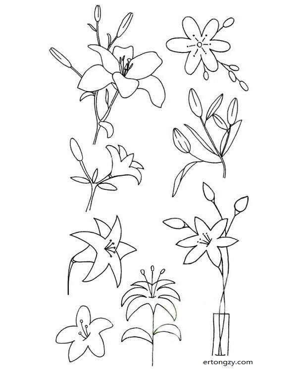 学习资源 儿童绘画 儿童简笔画大全 植物简笔画 花朵简笔画     步骤