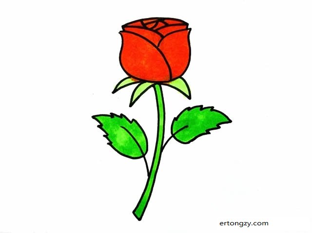 玫瑰花简笔画步骤图片 彩色 简单 漂亮 - 简笔画