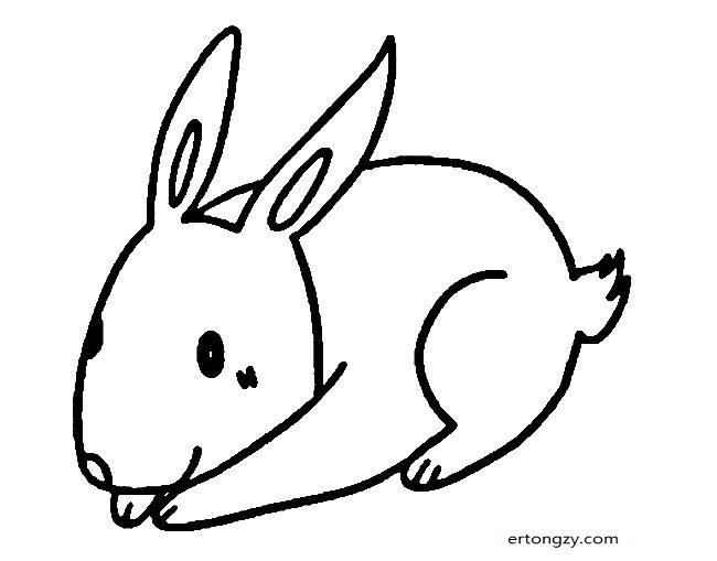 小兔子动物简笔画步骤图片大全