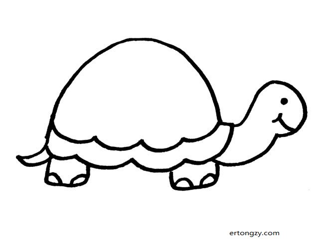 乌龟动物简笔画步骤图片大全